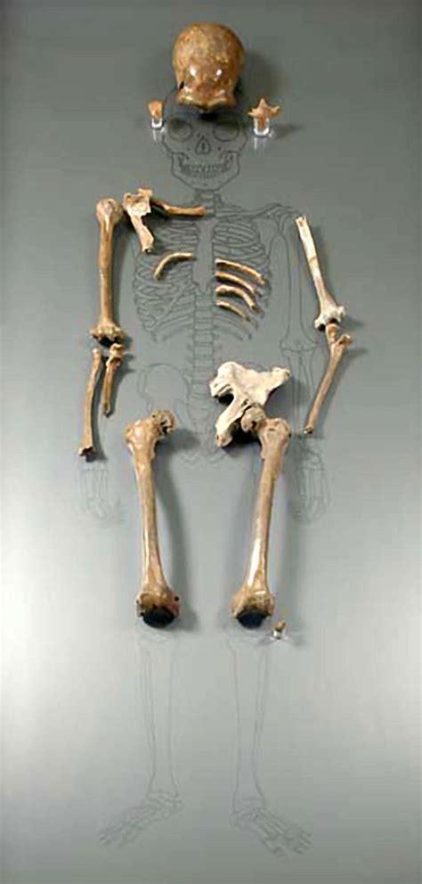 The original Neanderthal skeleton from the Neander Valley