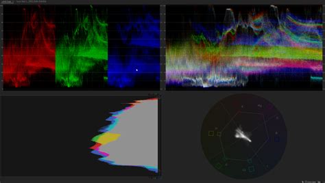 How To Use And Read The Four Primary Video Scopes