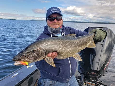 10 Lake Trout Facts Superior Country