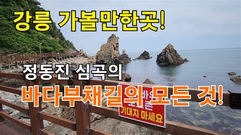 강릉 가볼만한곳정동진 심곡의 바다부채길의 모든 것 Youtube