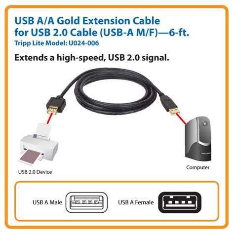 Tripp Lite U024 006 6 Feet Male To Female Usb Extension Gold Cable Amazon Ca Electronics