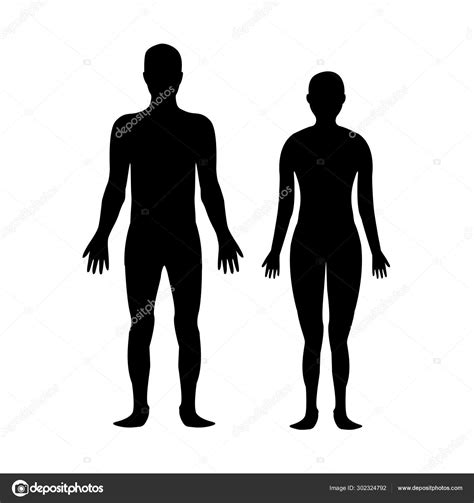 Male And Female Body Silhouette Template Body Silhouettes Icon For Medicine Stock Vector By