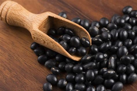 Kedelai Hitam Si Bahan Dasar Kecap Yang Kaya Akan Nutrisi