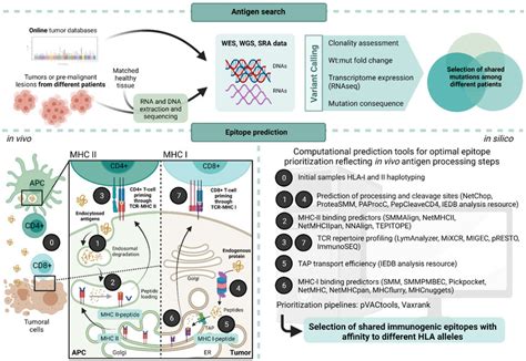 Schematic Representation Of Antigen Prediction Pipeline For The Design Download Scientific