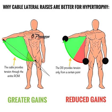 ⭕️LATERAL RAISE | Exercise, Weight training workouts, Workout