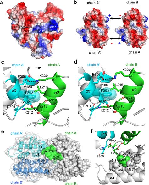 The Oligomerization Mechanism Of Pcsting Revealed By Crystal Packing A