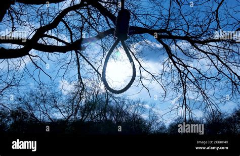 Rope Noose Tree Stock Videos And Footage Hd And 4k Video Clips Alamy