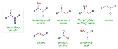 Primary Amide