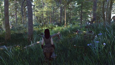 Skyrim’s forests are glorious with this mod that adds “over 100” meshes