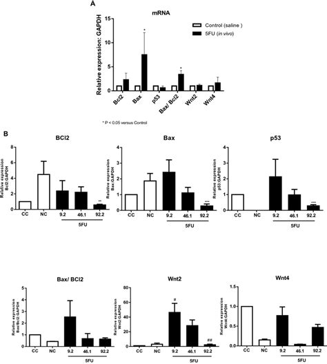 Mrna Relative Expression Of Bcl2 Bax P53 Genes And Bax Bcl2 Ratio In