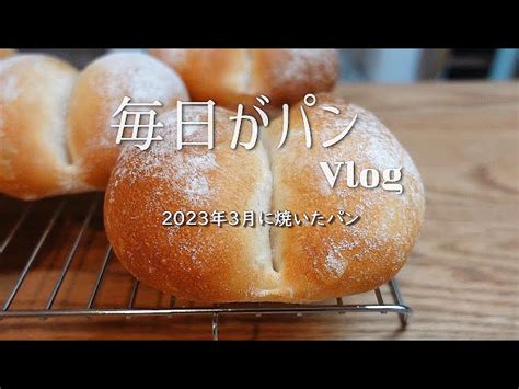 Vlog31 2023年 最近焼いたパンvol16「3月のパン焼き」 毎日がパン 今日も焼いています 毎日がパン｜youtubeランキング