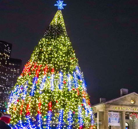 Boston Christmas Tree Lighting Events Schedule 2023 - Boston Discovery ...