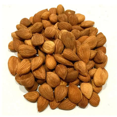 Apricot Kernels Ny Spice Shop Buy Apricot Kernels Online