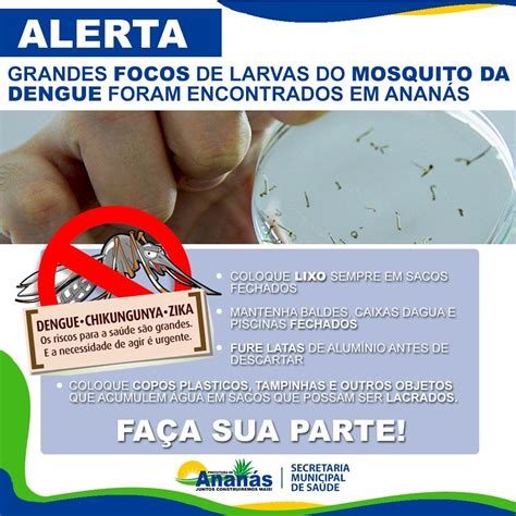 Alerta Grandes Focos De Larvas Do Mosquito Da Dengue Foram Encontrados