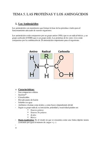 Tema Las Proteinas Pdf