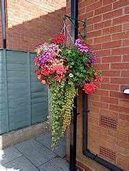 Set Of X Easy Fill Hanging Baskets Amazon Co Uk Garden