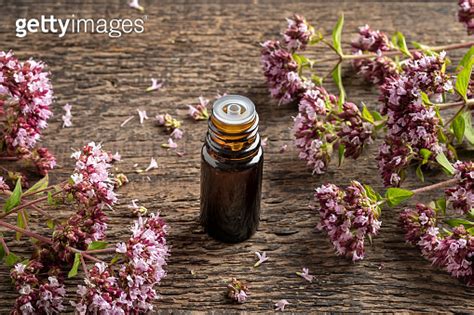 A Dark Bottle Of Essential Oil With Fresh Blooming Oregano