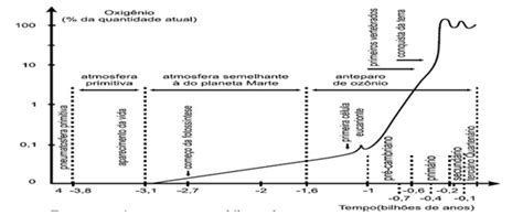 Preparação Para O Enem Origem Da Vida Bio Nota 10