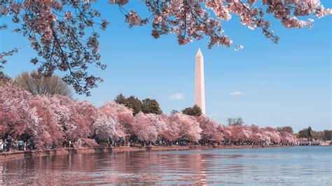 La Mejor Guía De Viaje De Washington Dc Hellotickets