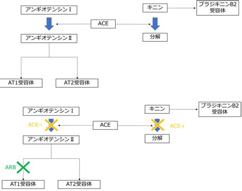 【研修医必見！】初めての高血圧症診療│不識庵 万年研修医のブログ