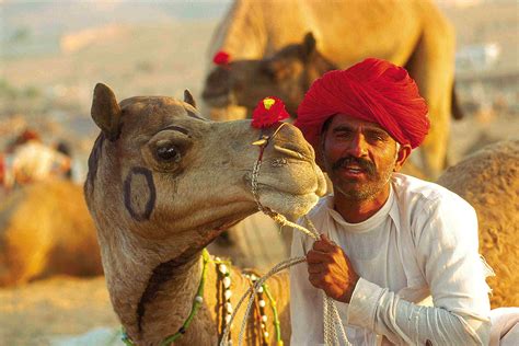 Pushkar Fair Tour:Camel Cattle Fair 2019