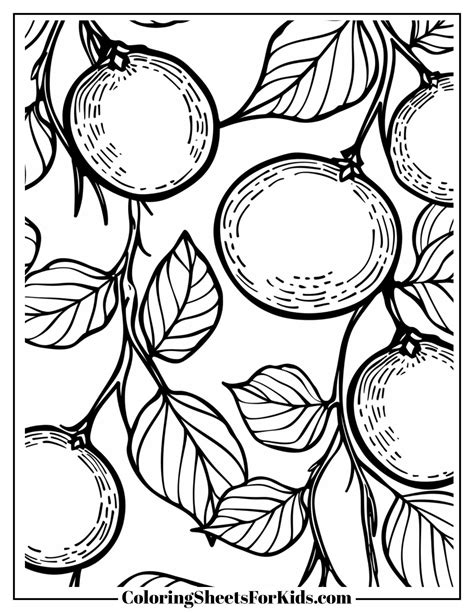Orange Tree Coloring Pages (Printables for All Ages) - Coloring Sheets