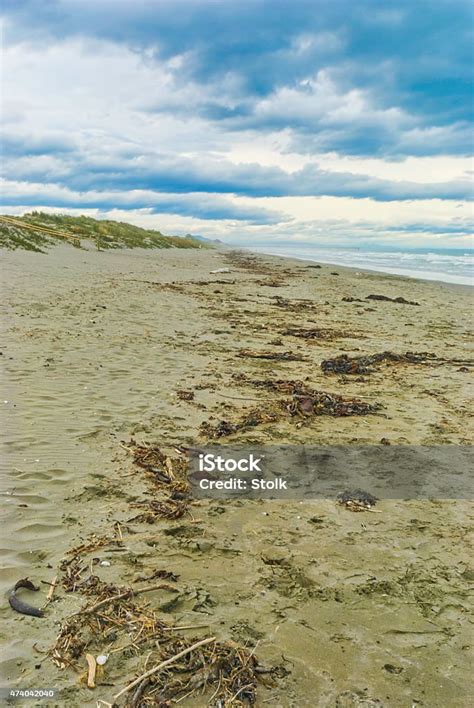 west coast beach stock photo  image   beach blue