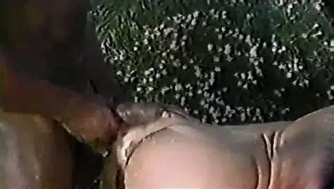 Free Butt Fuck Porn Videos XHamster