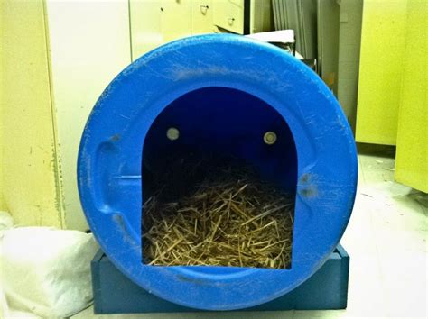 Greensboros For The Dogs Dog House Diy Barrel Dog House Diy Dog Stuff