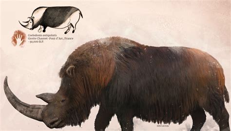 Woolly rhinoceros (Coelodonta antiquitatis) by Julio Lacerda. : r ...