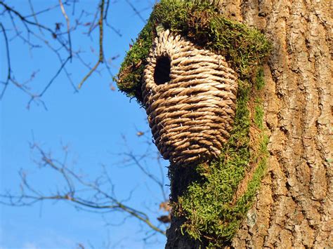 How To Choose Right Birdhouse To Attract Nesting Birds