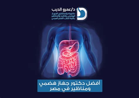 افضل دكتور جهاز هضمى فى القاهرة دليل شامل لاختيار الأفضل داف دوف