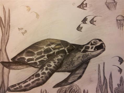 Sea Turtle Pencil Drawing By Patrissaart On Deviantart