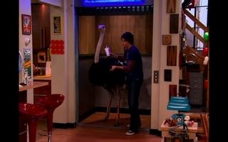 iMeet Fred - iCarly Image (6525224) - Fanpop