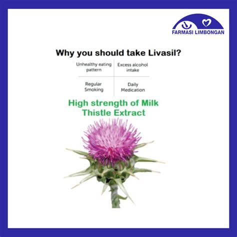 Biolife Livasil S Milk Thistle Mg Farmasi Limbongan