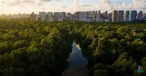 Feriados No Cear Calend Rio Completo E Dicas Para Aproveitar