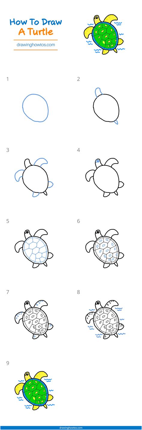 Easy Turtle Drawing Step By Step