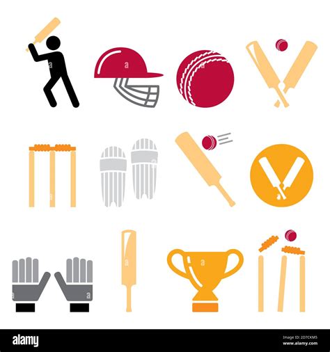 Cricket Bat Man Playing Cricket Cricket Equipment Sport Vector