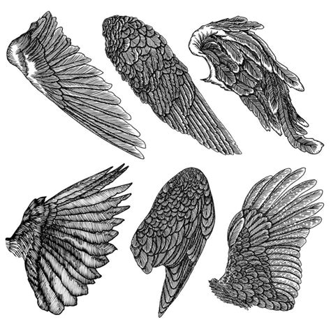 Hand Drawn Vintage Angel Bird Wings Set Heraldic Wings Tattoo Stock