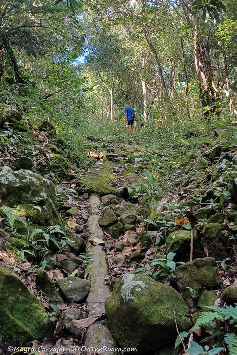 The Best Hiking Trails on Nevis Island | Life On The Roam