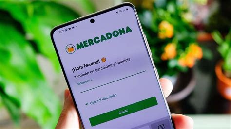 Cómo Comprar O Hacer Mi Pedido Online En Mercadona ¿dónde Puedo Ver Su