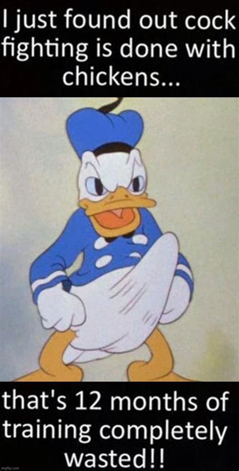 Image Tagged In Donald Duck Boner Fighting Imgflip