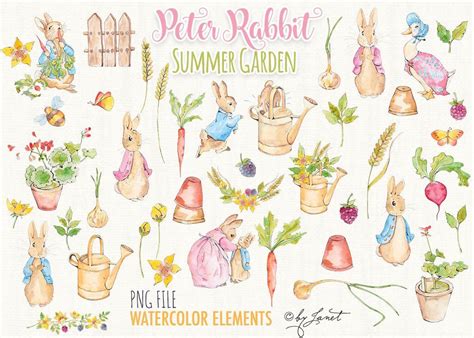 Peter Rabbit Watercolor Clipart Set - Summer Garden