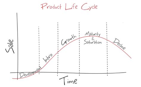 From Development To Decline Understanding The Product Life Cycle