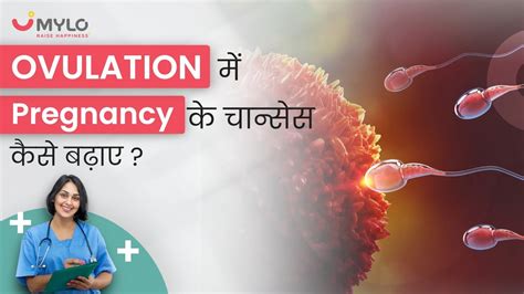 Ovulation क्या होता है How To Correctly Use An Ovulation Kit