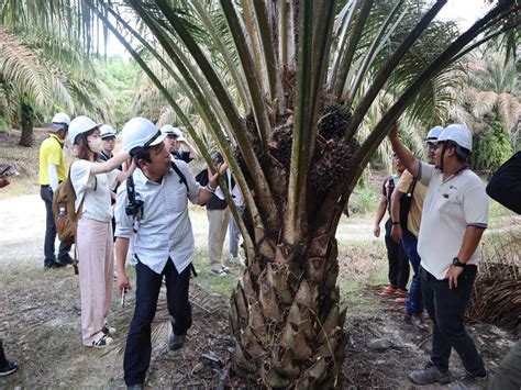 From The Land Of The Rising Sun To The Land Of Palm Oil Shinshu