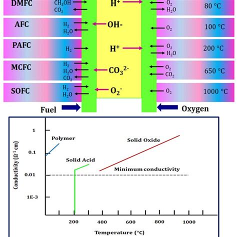 Contrasting the various fuel cell types and their characteristics of ...