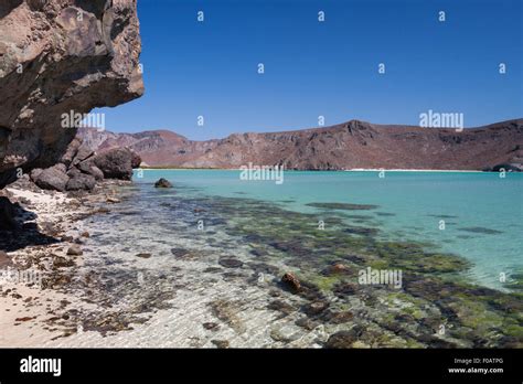 Balandra beach. La Paz, Baja California Sur. Mexico Stock Photo - Alamy