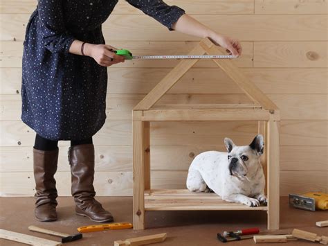 do it yourself dog house