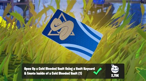 Open Up A Cold Blooded Vault Using A Vault Keycard And Emote Inside